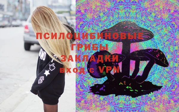 apvp Алзамай