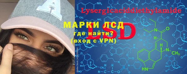 хмурый Алексин