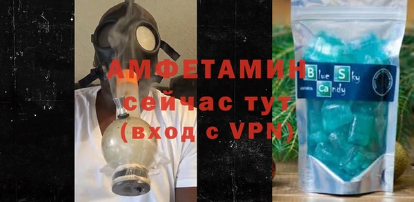 хмурый Алексин