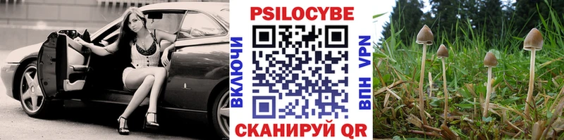 Галлюциногенные грибы GOLDEN TEACHER  Снежногорск 